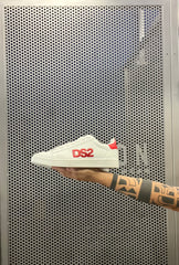 Scarpe DS2